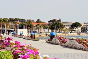 Altinkum - Turkey. Turkish Connextions