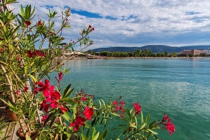 Akbuk - Turkey. Turkish Connextions